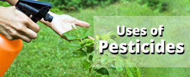 uses of pesticides