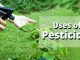 uses of pesticides