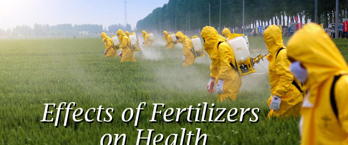 Effects of Fertilizers on Health