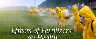 Effects of Fertilizers on Health