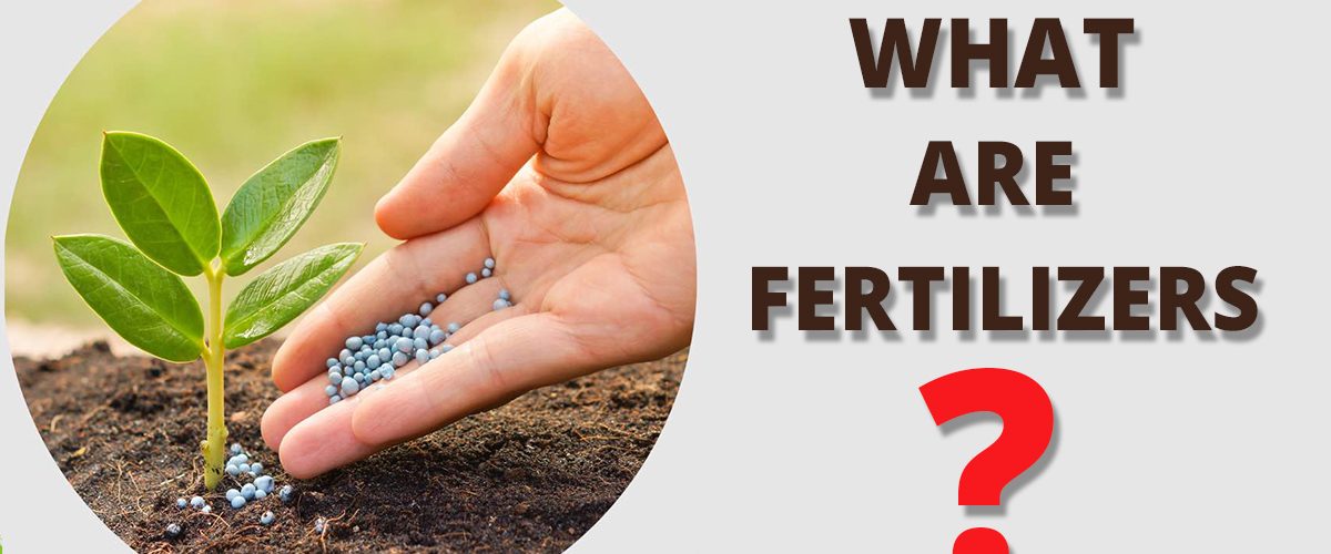 What Are Fertilizers