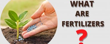 What Are Fertilizers