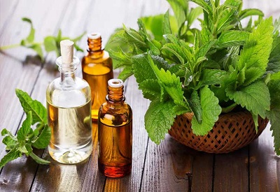 Get rid of spiders with peppermint oil
