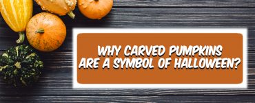 Is pumpkin a fruit or vegetable